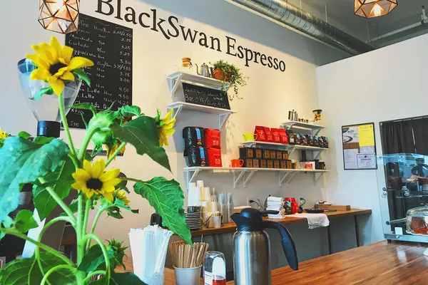 Black Swan Espresso